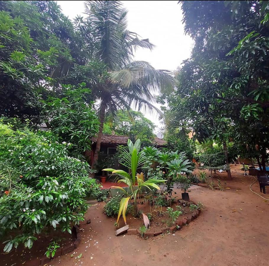 Lotus Riya Home Stay Хампи Екстериор снимка